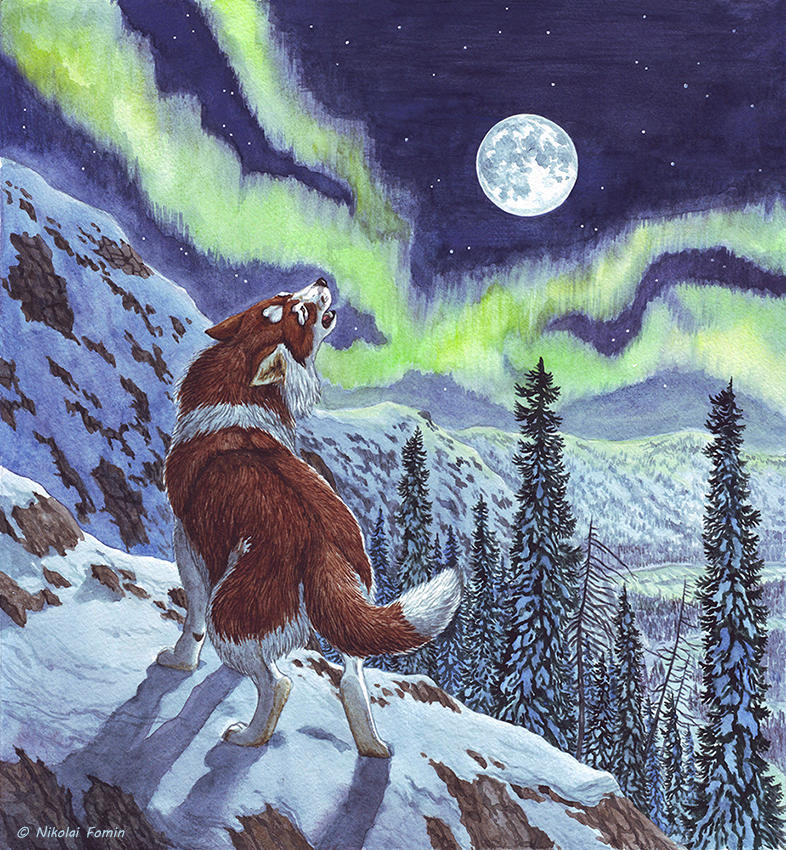 Deviantart Nature Call Call of the wild. by Nikkolainen on DeviantArt
