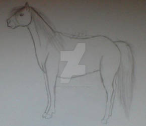 Horse