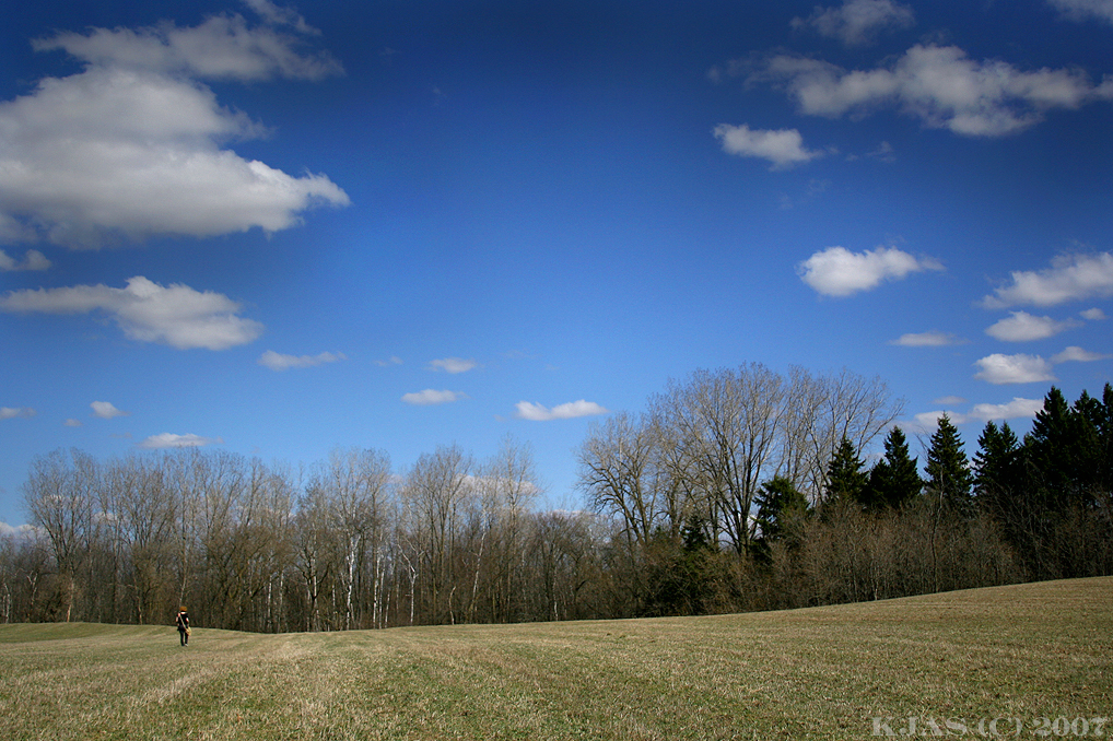 Field lined in woods