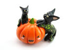 Kitty family on a pumpkin by Ailinn-Lein