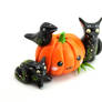 Kitty family with a raven on a pumpkin