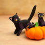 Two Cats, a Mouse and a Pumpkin