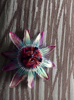 Edited passionfruit flower