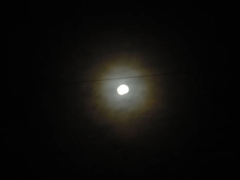 the moon from my window