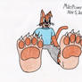 Food Cat in anthro style (2020)