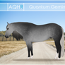 AQHR | Quantum Gemini