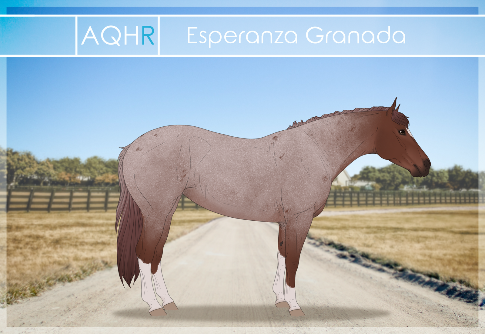 AQHR | Esperanza Granada