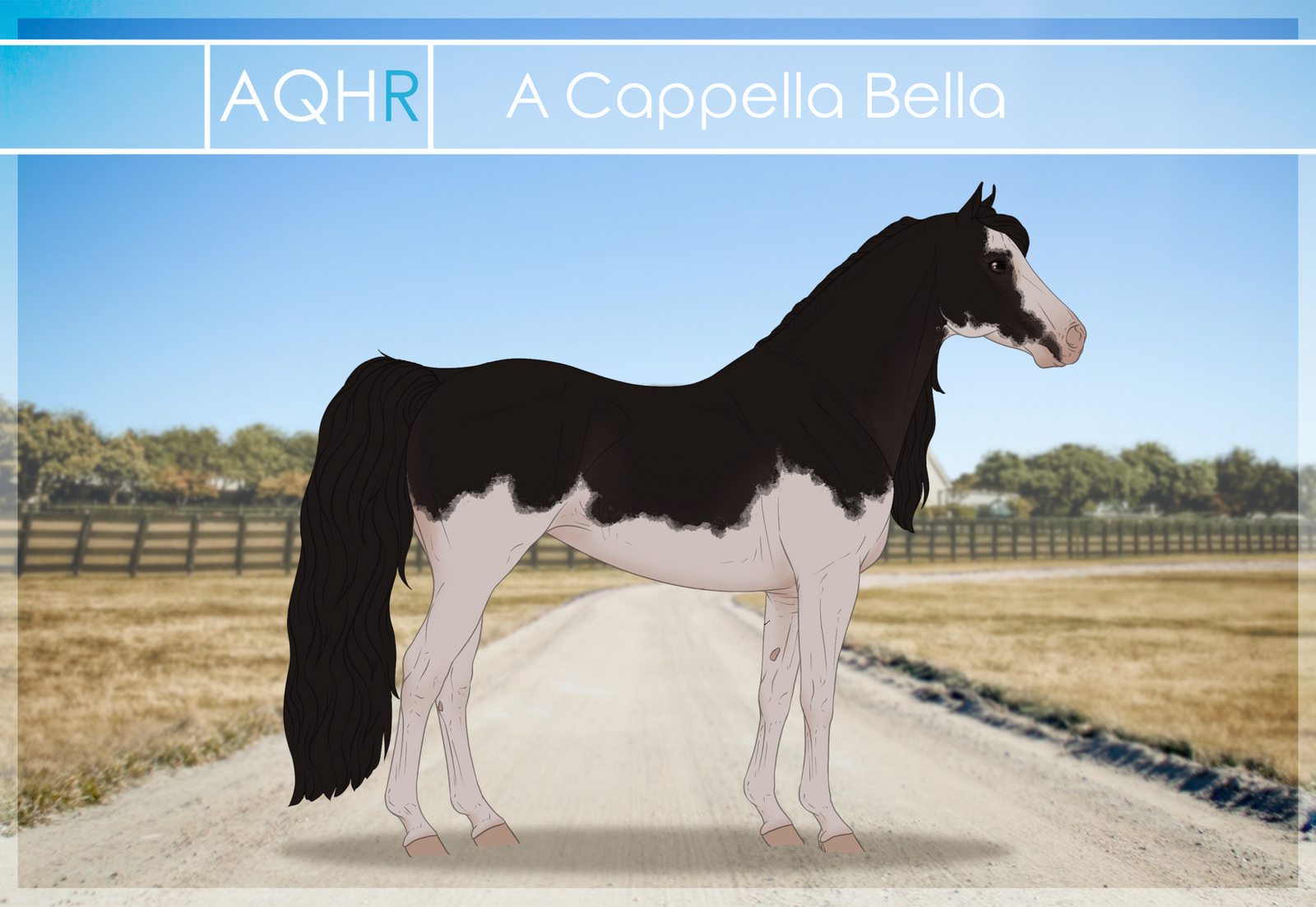 AQHR | A Cappella Bella