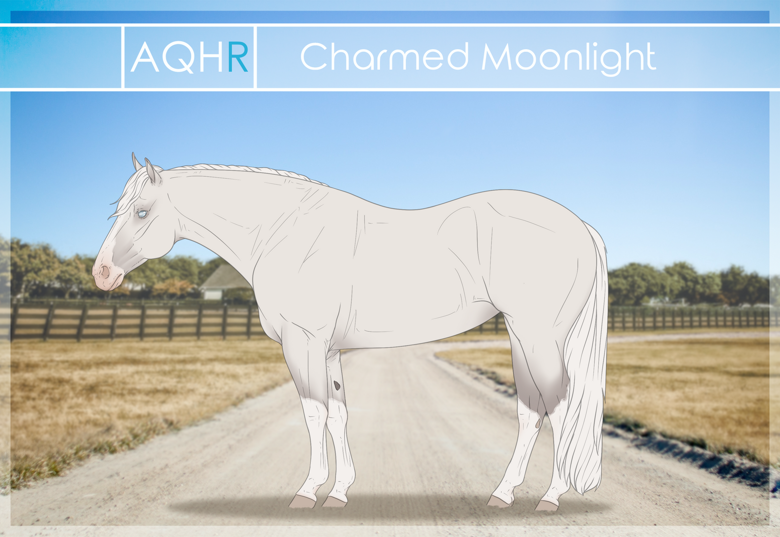 AQHR | Charmed Moonlight