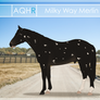 AQHR | Milky Way Merlin