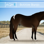AQHR | Bobbie Banjo