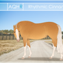 AQHR | Rhythmic Cinnamon