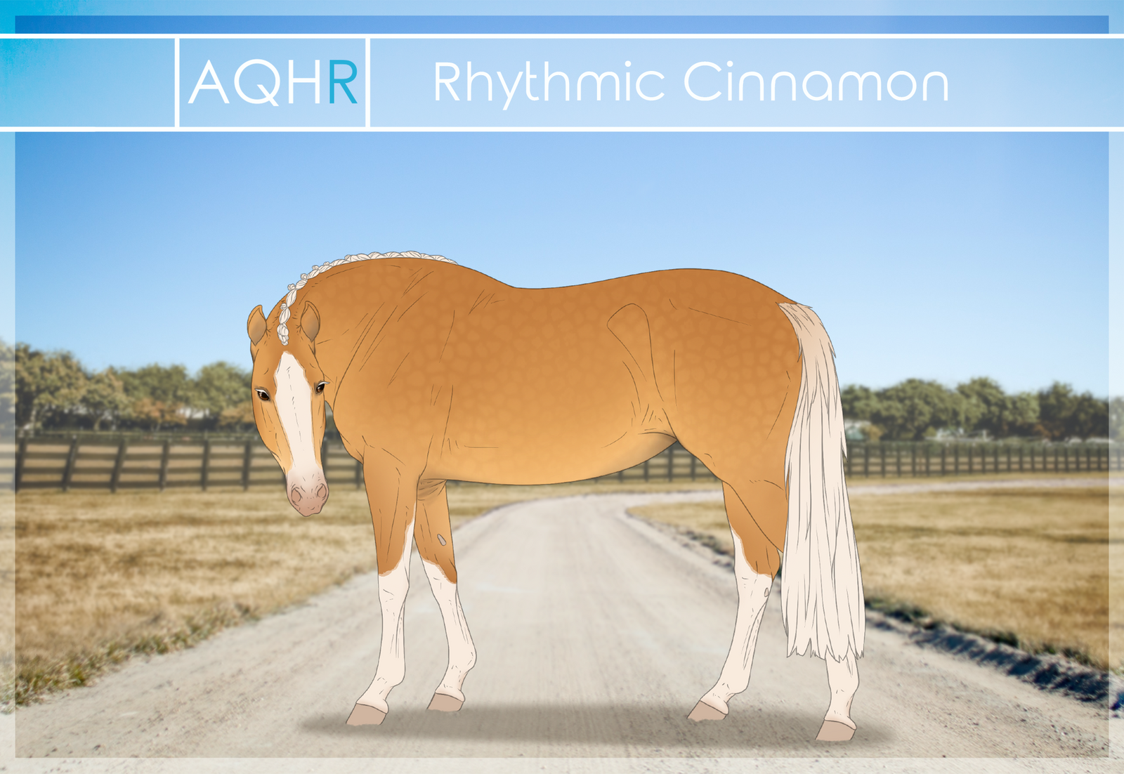AQHR | Rhythmic Cinnamon