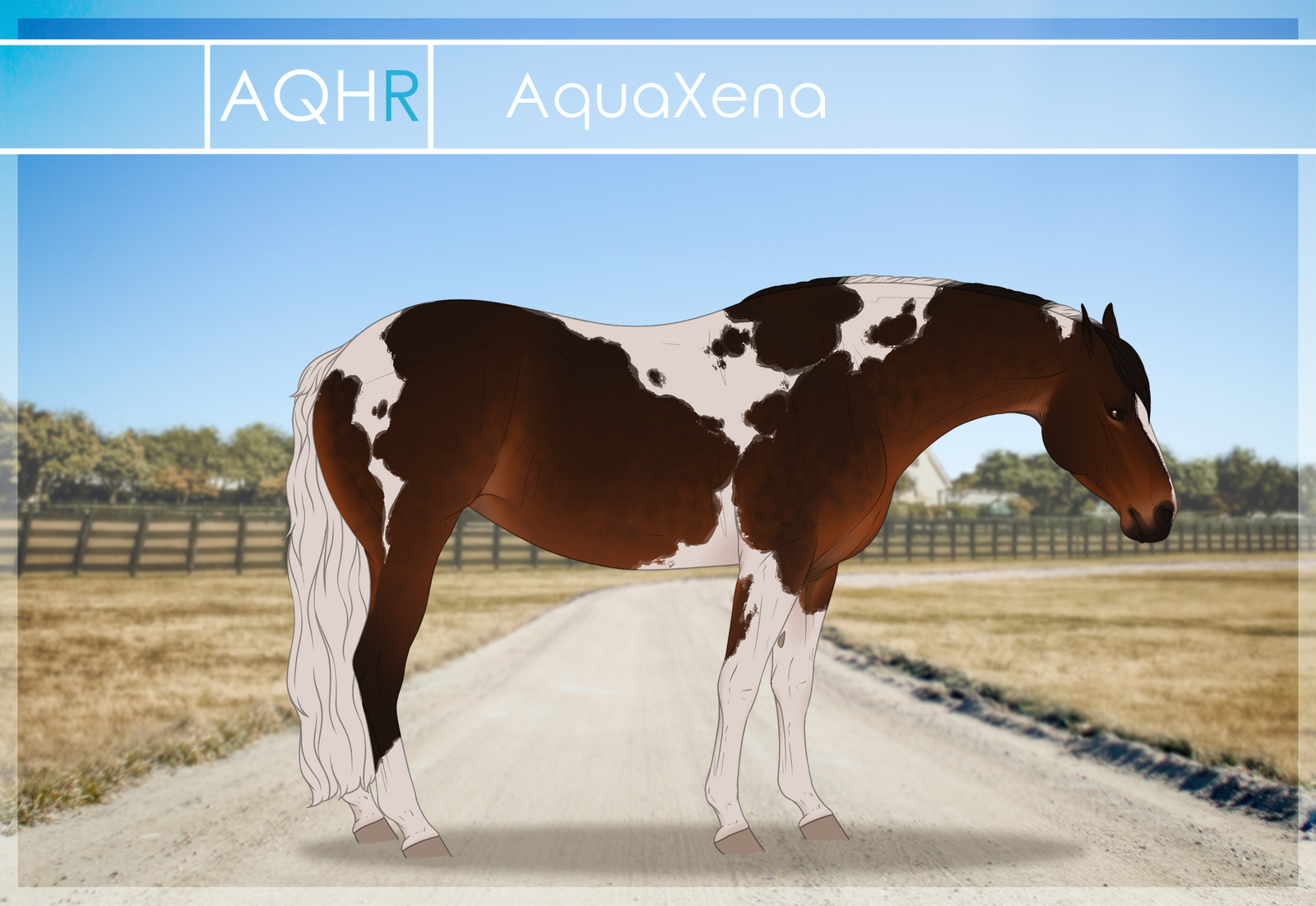 AQHR | AquaXena