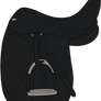 AQHR | English Saddle A
