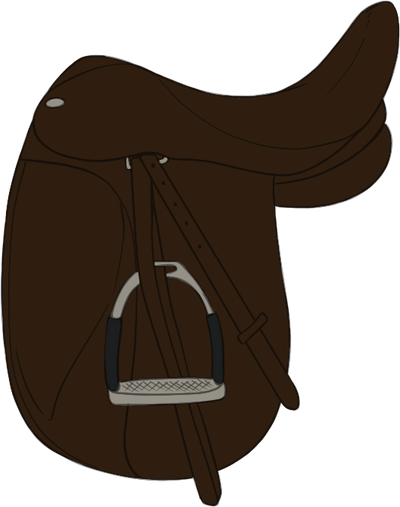 AQHR | English Saddle B