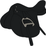 AQHR | English Saddle C