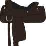 AQHR | Western Saddle B