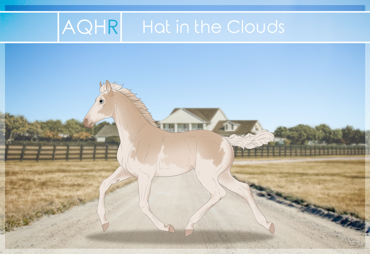 Hat in the Clouds