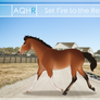 Set Fire to the Rein