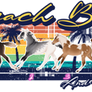 Beach Babes Race and Raffle 2023 | CLOSED
