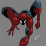 Spider - Man  Color