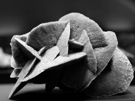 grey stone rose