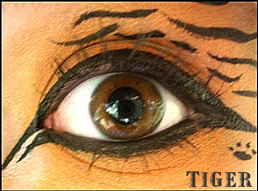 Animal Print Makeup: Tiger by Steffmiesterx13 on DeviantArt