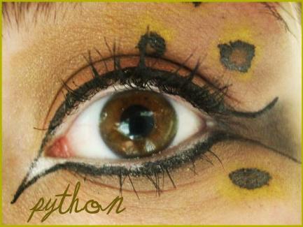 Animal Print Makeup: Python