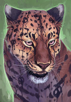 Amur Leopard