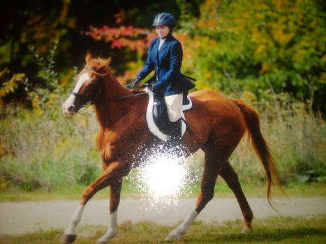 My First Walk Trot Canter Show