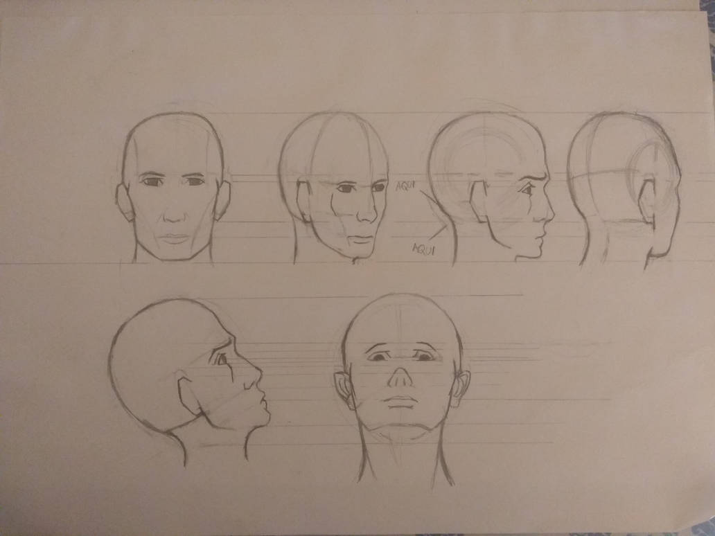 Lesson 2 Anatomy, Tilt and Head Rotation by Auriblue on DeviantArt