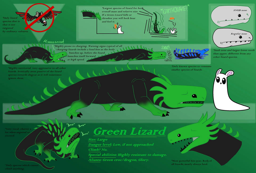 Green Lizard factsheet Rainworld fanart by ZureLazuli on DeviantArt