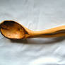 Poplar Spoon - front view