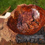 Oak Burr Bowl - inside