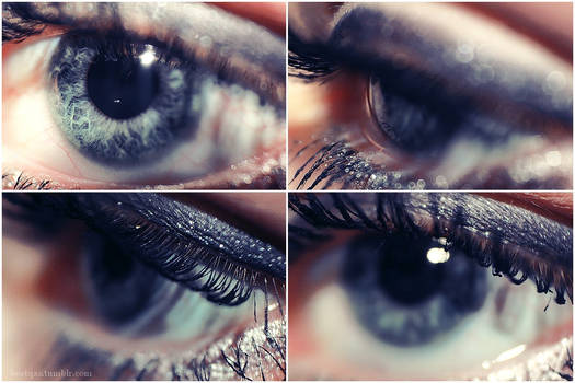 Macro eyes