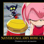 Amy Rose rule #5 XD