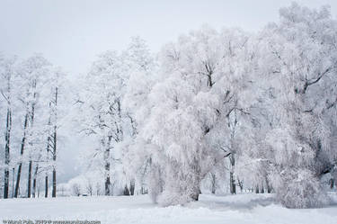 Kadriorg 1