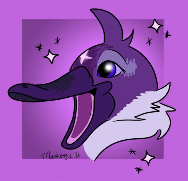 Platypus by AlphaCrow04 on DeviantArt