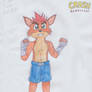 Crash Bandicoot