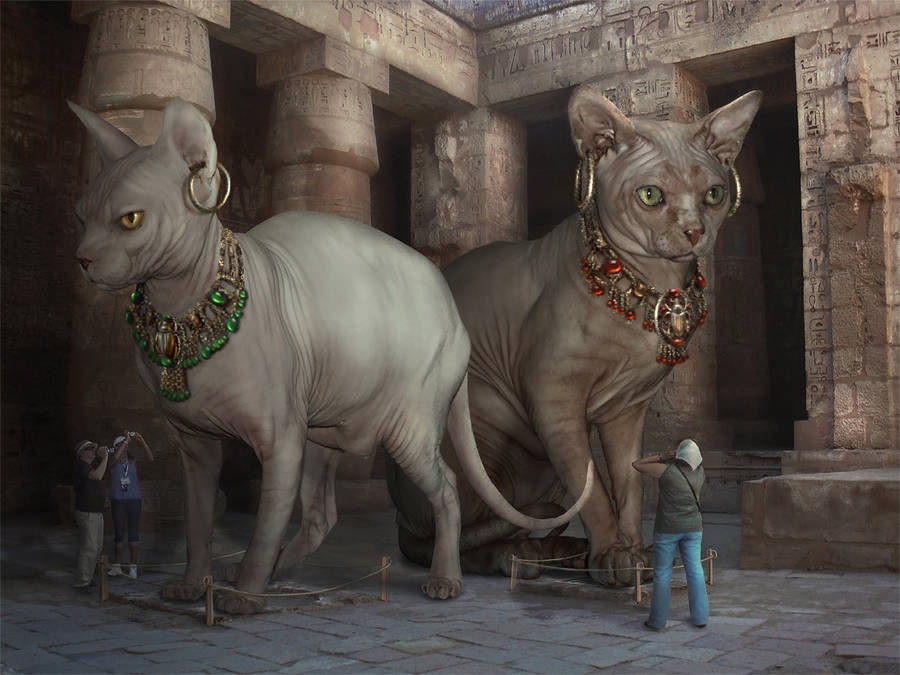 Bastet and Sekhmet base by Incantata Bastet and Sekhmet base by Incantata