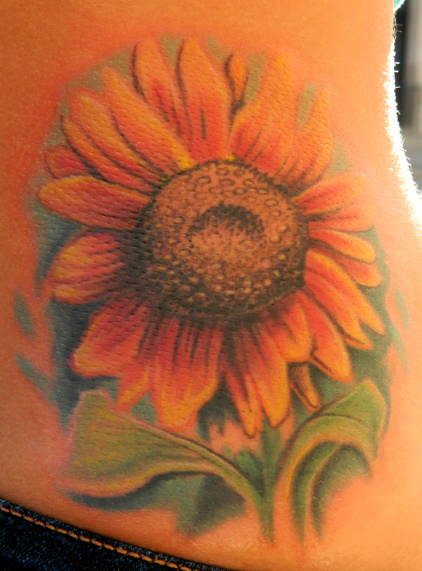 Felicia's Sunflower