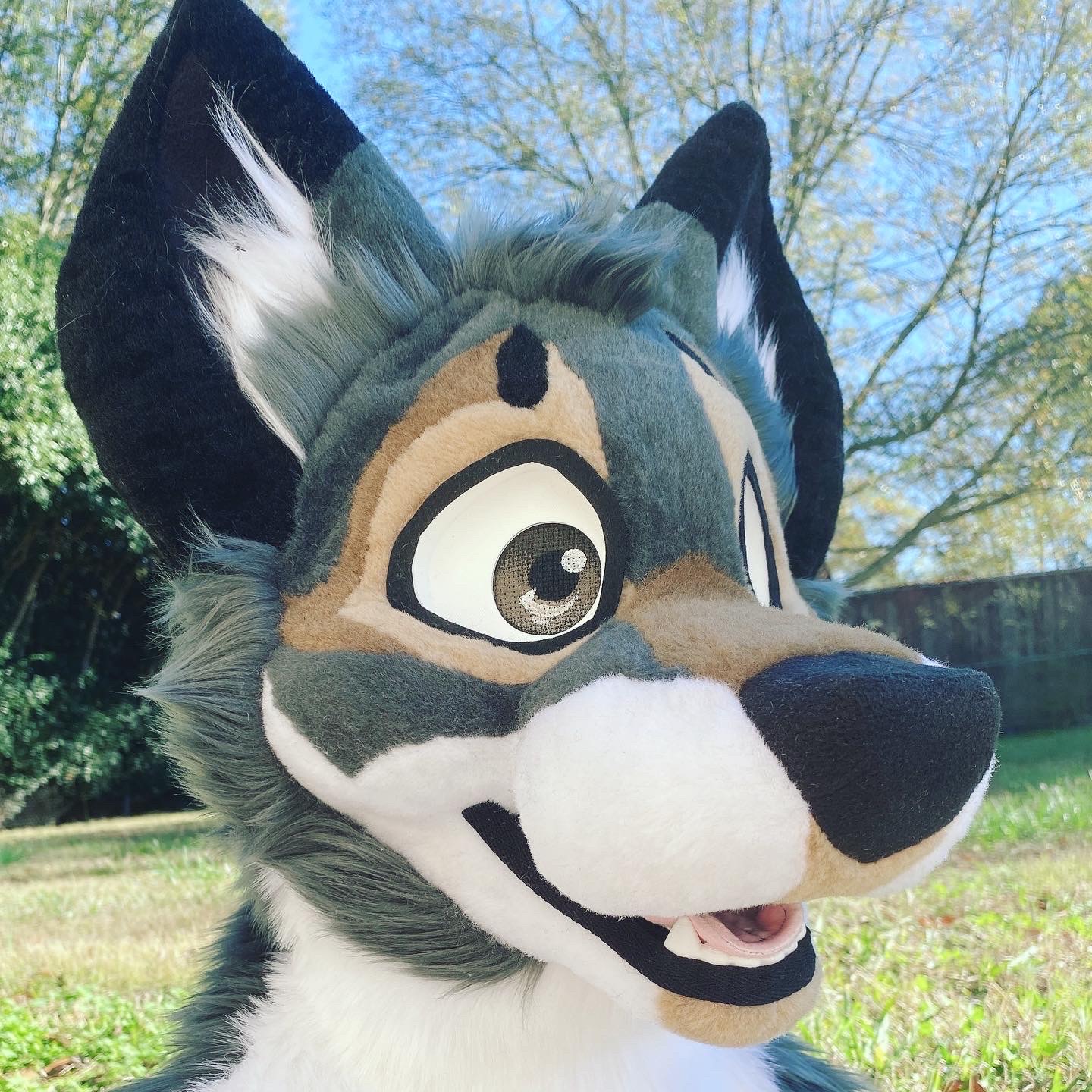 Eurasian Wolf Fursuit by craftycovenco on DeviantArt Eurasian Wolf Fursuit by craftycovenco on DeviantArt
