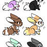 bunny adopts