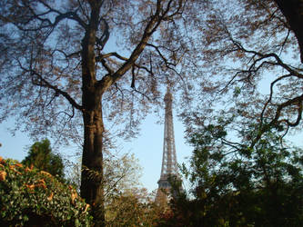 Eiffel Tour with Trees