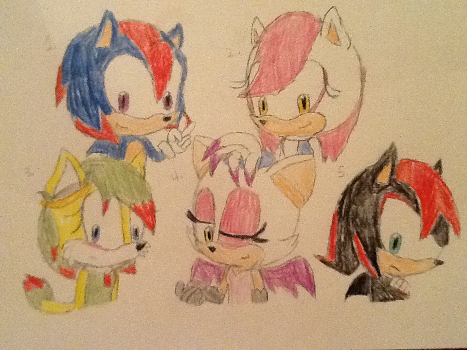 Sonic Shipping Adopts 1