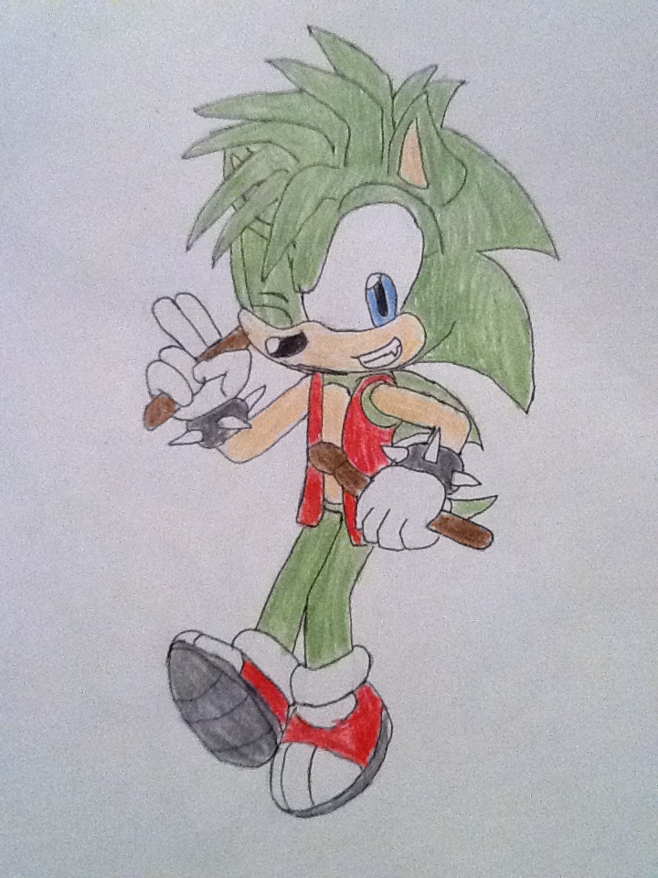 Manic the Hedgehog -Ink and Colored-