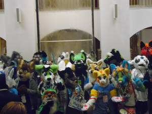 GFM 2015 - Furry Mob