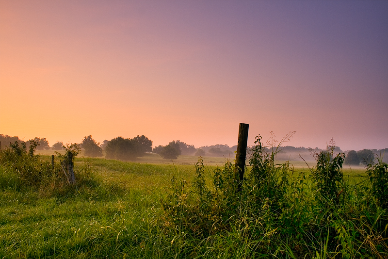 A Violet Dawn