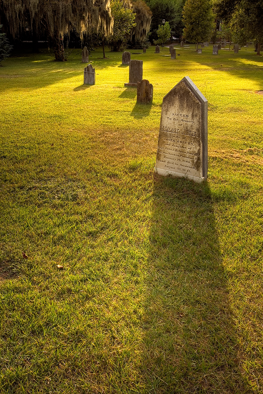 Amongst the Graves